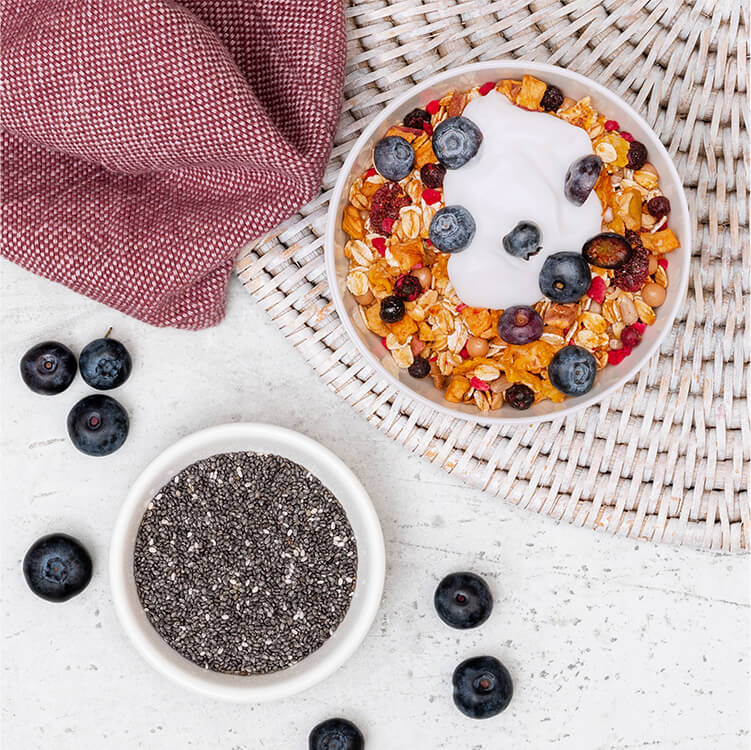Chia Pudding mit Blaubeeren in einer Schale mit Chia Samen daneben