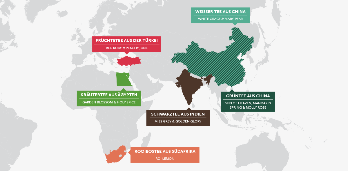 Tree of Tea Tee - woher kommt der eigentlich? Entdecke auf der Karte, dass der weiße und grüne Tee aus China kommt, der Früchtetee aus der Türkei, der Kräutertee aus Ägypten, der Schwarztee aus Indien und der Rooibostee aus Südafrika.