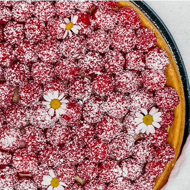 Vegan Raspberry Cheesecake in einer Springform
