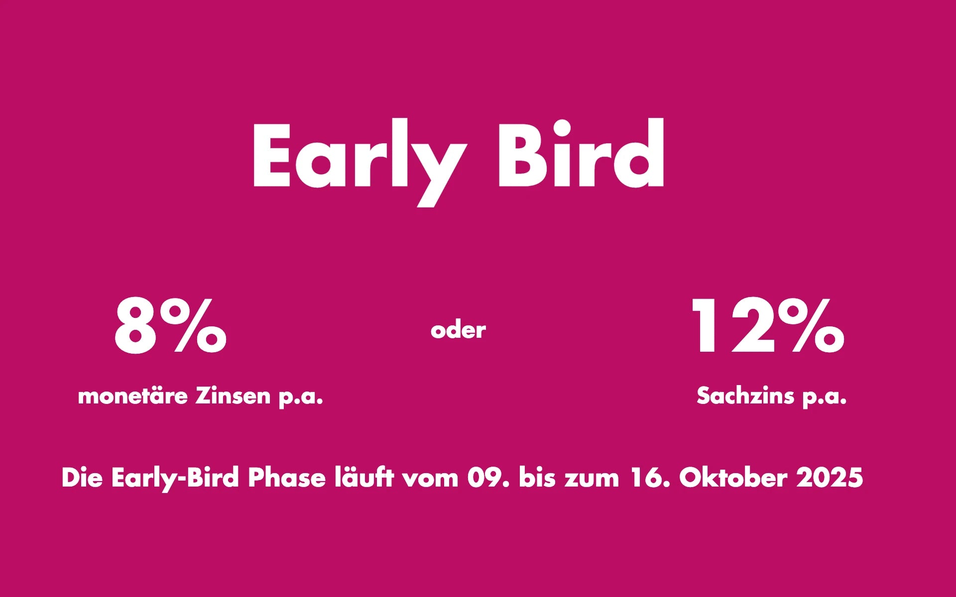 Earlybird_0505b451-7fb0-4753-9d80-5eb9a92dd4f5.webp