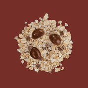 Porridge Peanut Choc