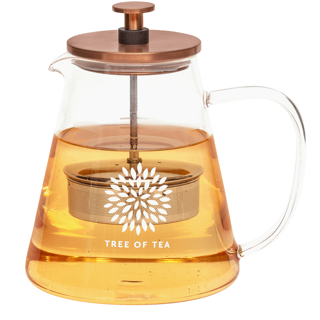 Tree of Tea Glaskanne mit Sieb