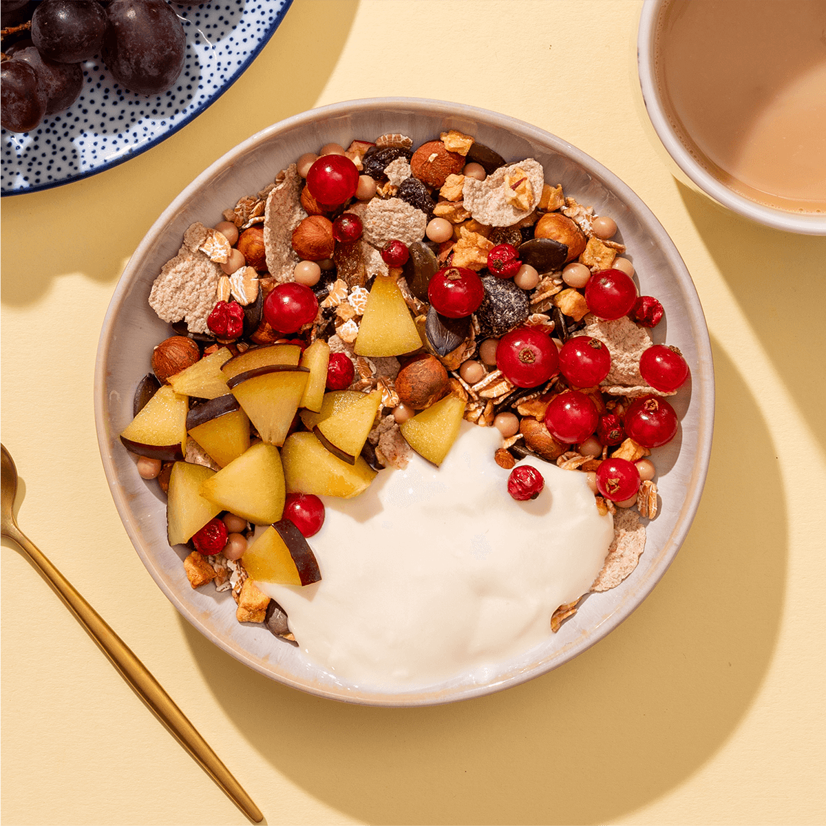 Eine Schüssel Herbst-Müsli mit Johannisbeeren, Pflaumenstücken und Joghurt