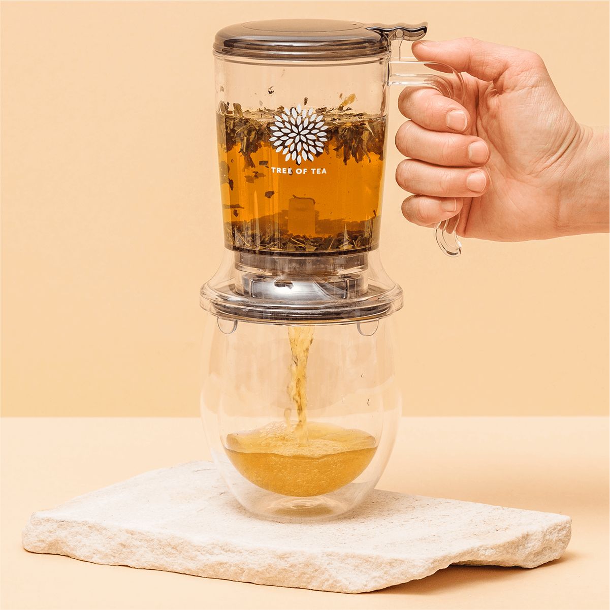 Tree of Tea Tea Maker füllt Tee ins Glas