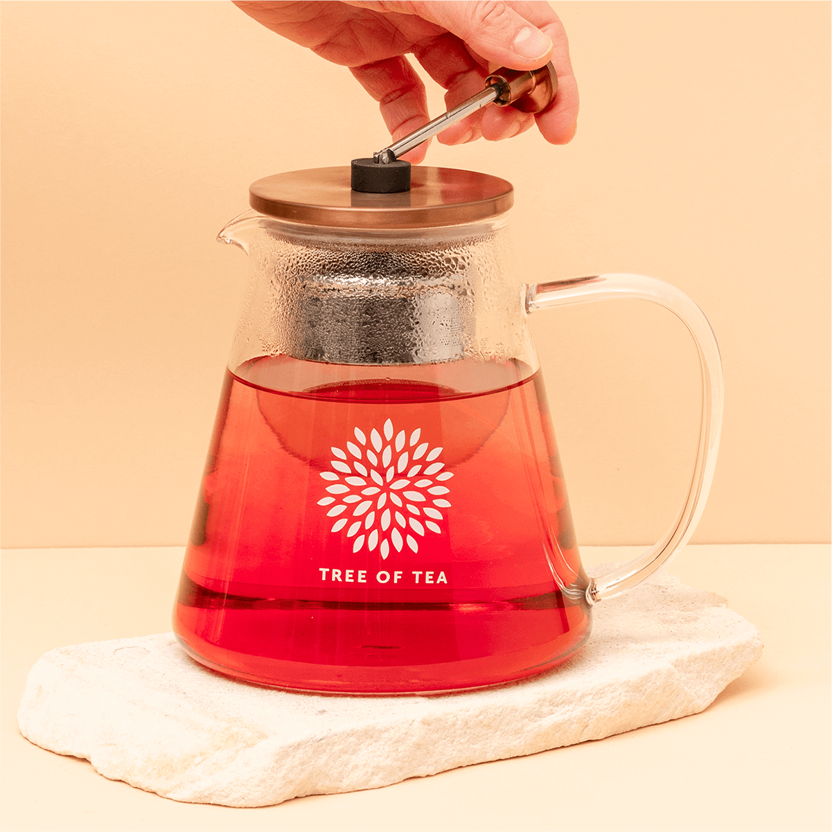 Tree of Tea Glaskanne mit Sieb wird benutzt