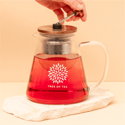 Tree of Tea Glaskanne mit Sieb wird benutzt