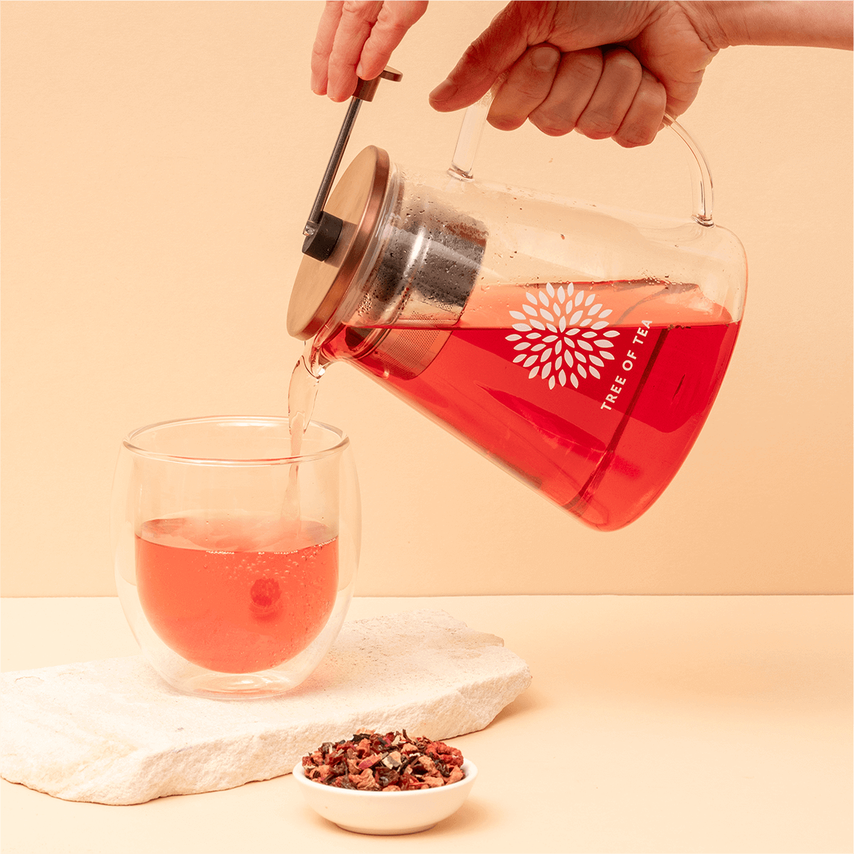 Tree of Tea Glaskanne mit Sieb gießt Tee in ein Teeglas