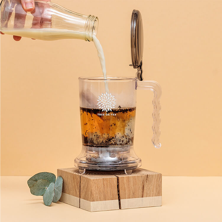 Milch wird in den Tea Maker gefüllt