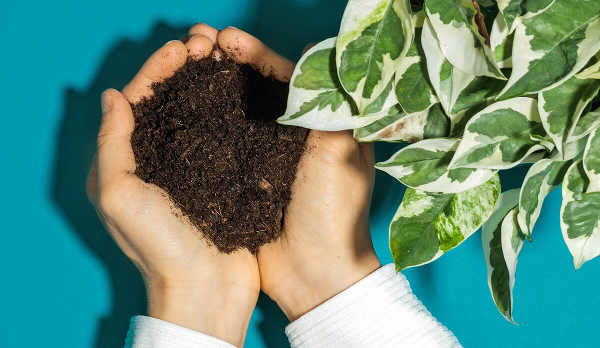 article3-verpackungen-nilk.jpg Transparente CO2 Bilanz für unsere Produkte