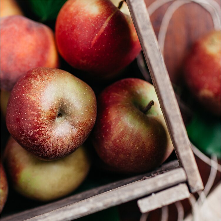 image2-bratapfel.jpg