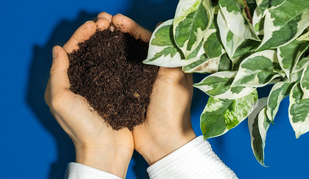 article3-verpackungen-nilk.jpg Transparente CO2 Bilanz