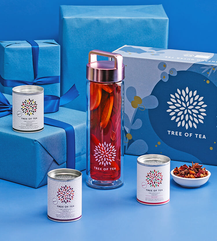 article3b-tea2go-set-xmas2022.jpg 2go Teeflasche für unterwegs und Tee Minis vor festlichem blauem Hintergrund