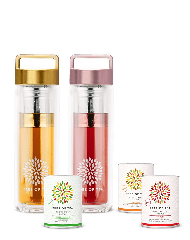 Die 2go Bottle im Set mit 3 leckeren Tee-Minis.