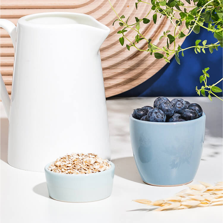 Haferflockeneis mit Blaubeeren