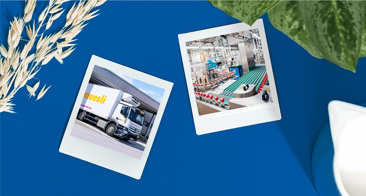 Nilk Transport