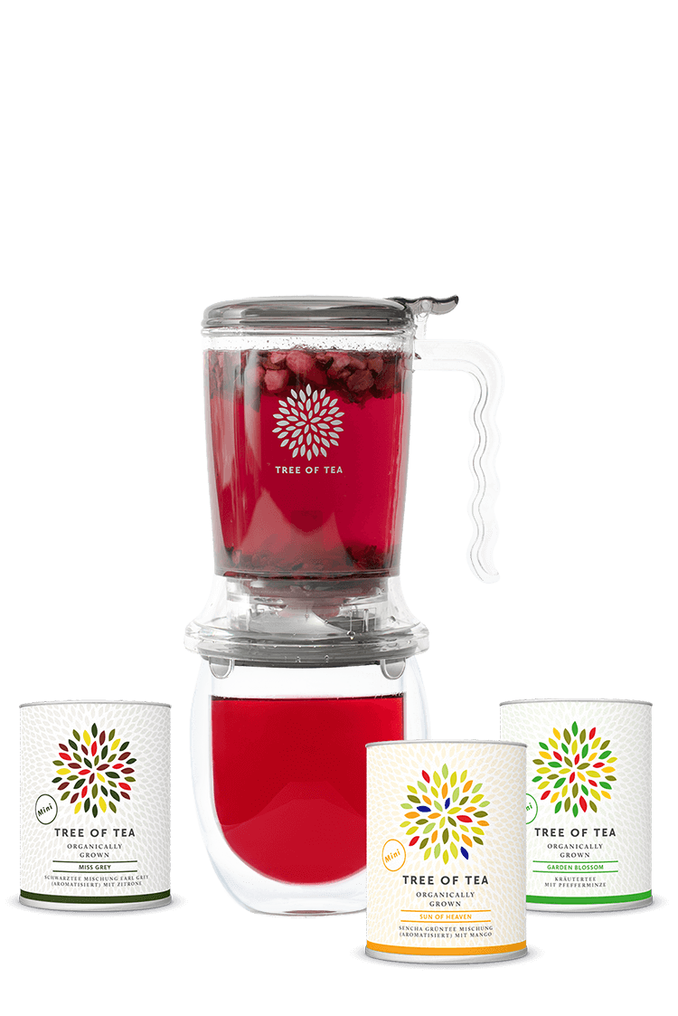 Der Tea Maker im Set mit 3 leckeren Blatttees