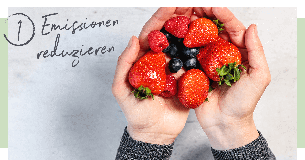 punkt1.png