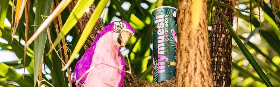 Bio Granola mit Superfrüchten