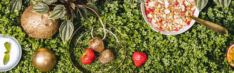 Knackige Joghurtplättchen, fruchtige Erdbeeren und tropische Kokoschips