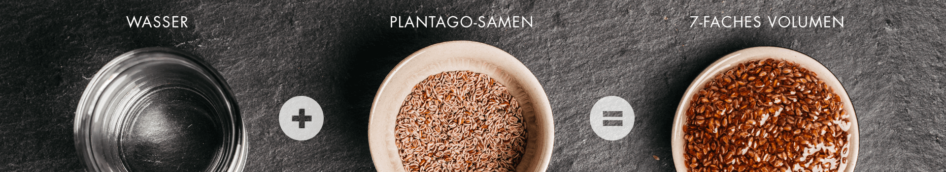 mymuesli-schlankerleben-04-plantago-banner.png